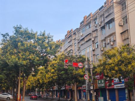 a43a9d54d5192e8d81e9efc41265ef68 a43a9d54d5192e8d81e9efc41265ef68